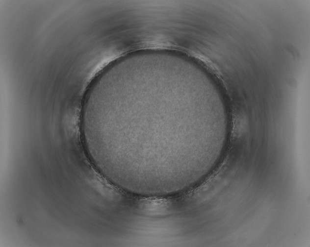 X0000115281314200911131820