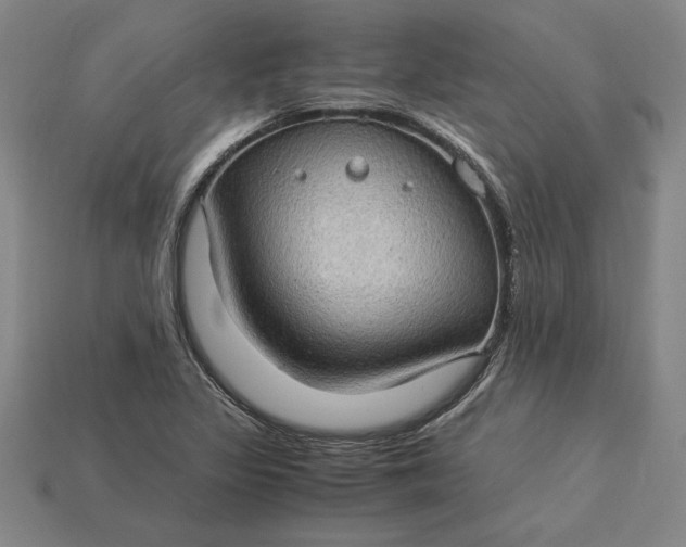 X0000115281317200911131820