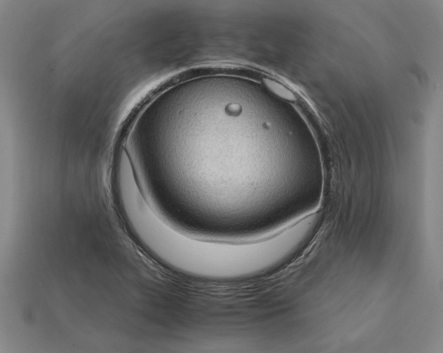 X0000115281319200911131820