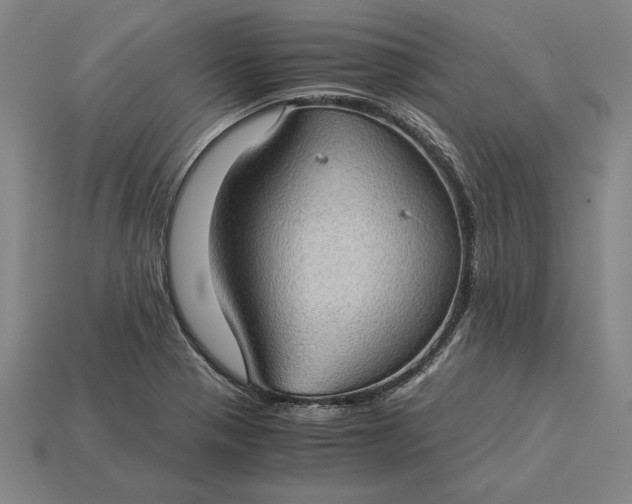 X0000115281321200911131820