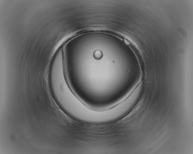 X0000115281325200911131820