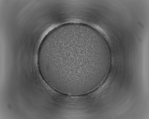 X0000115281326200911131820