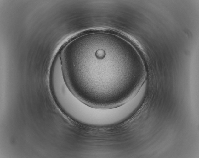 X0000115281327200911131820