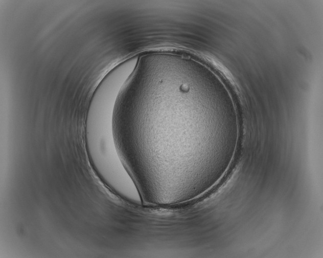 X0000115281329200911131820