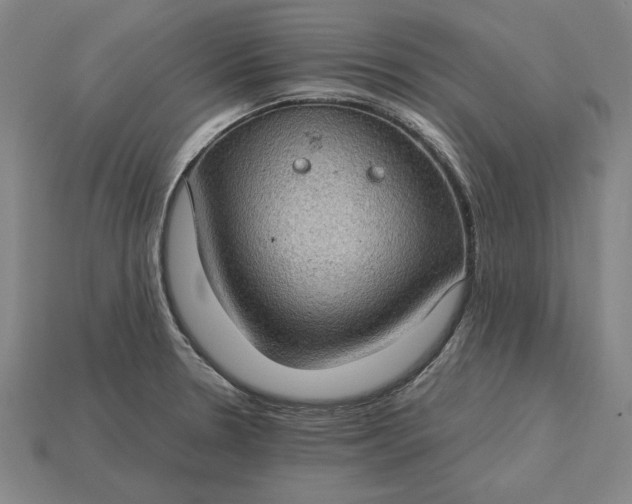 X0000115281330200911131820