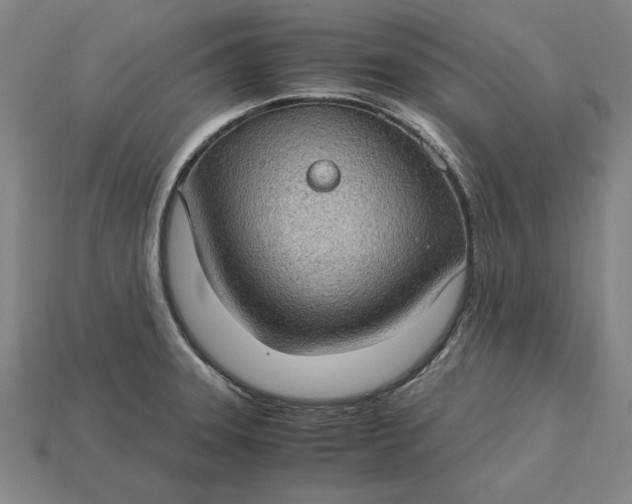 X0000115281331200911131821