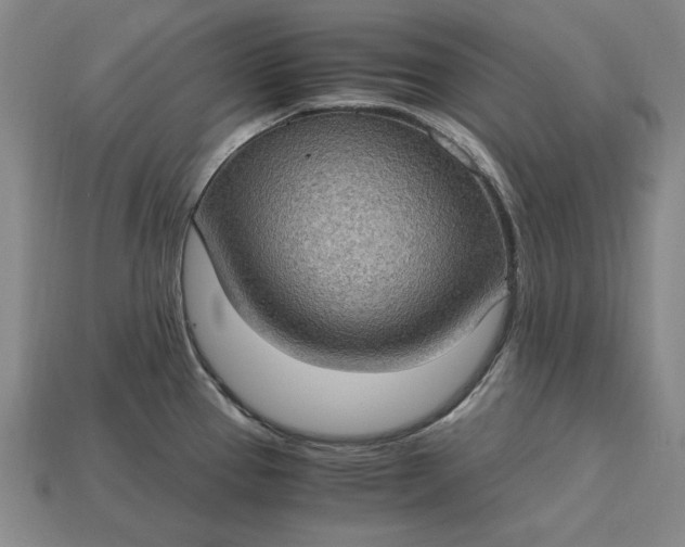 X0000115281337200911131821