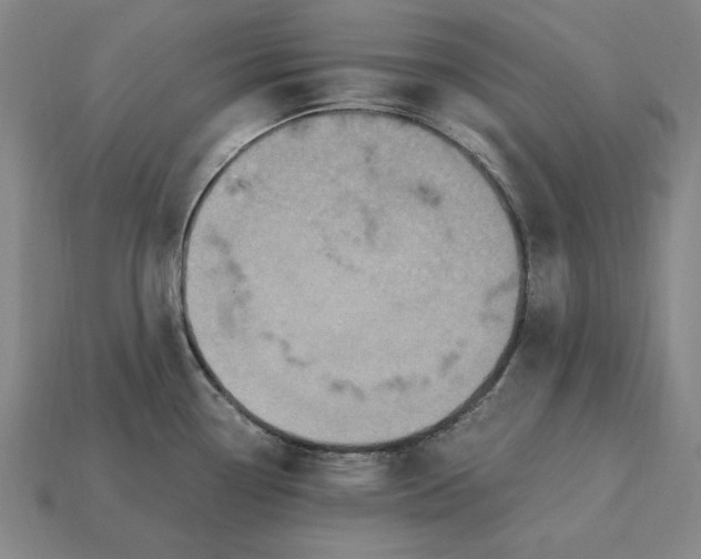 X0000115281338200911131821