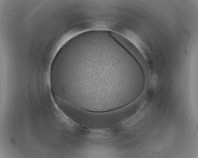 X0000115281342200911131821