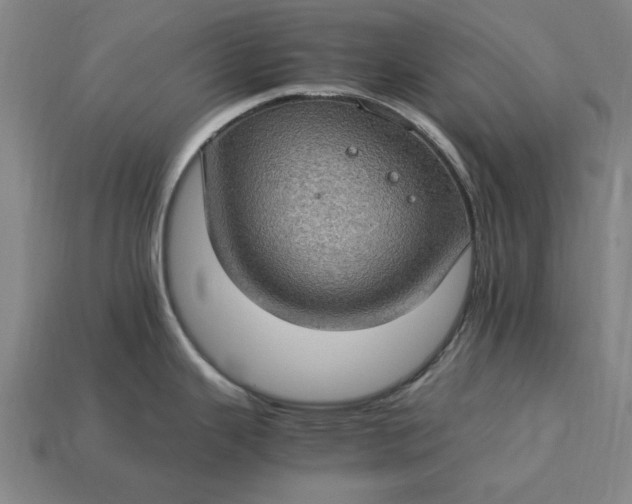 X0000115281343200911131821