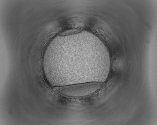 X0000115281345200911131820