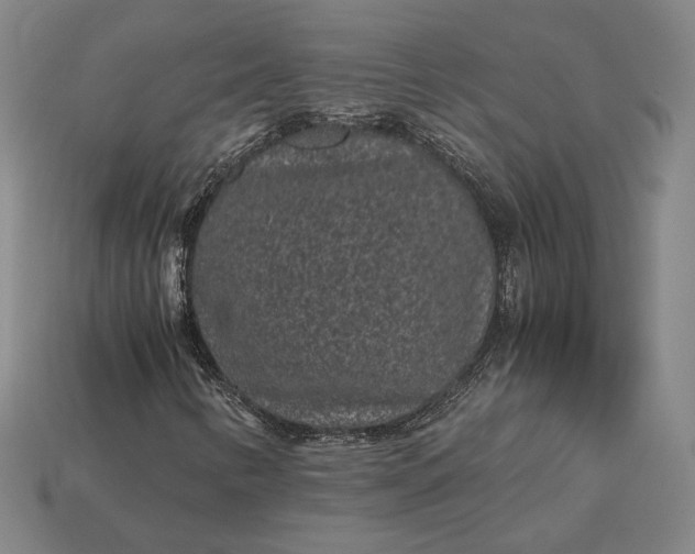 X0000115281346200911131820