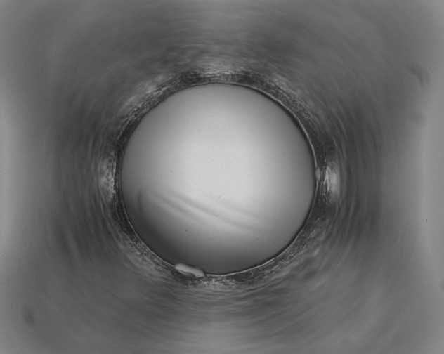 X0000115281348200911131820