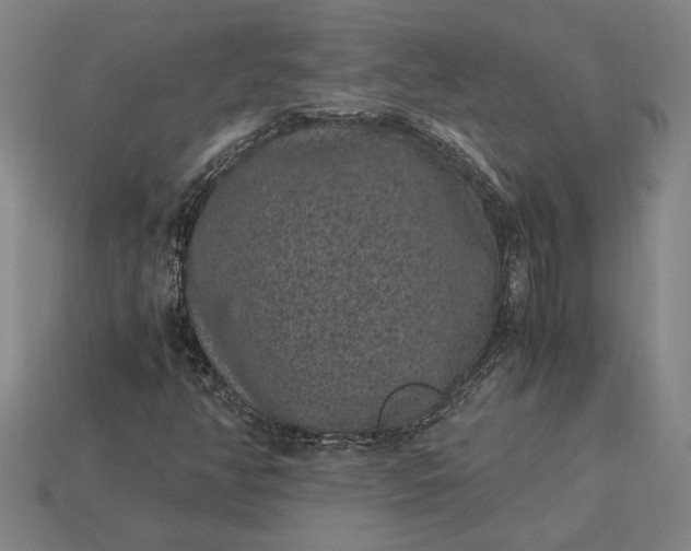 X0000115281350200911131820