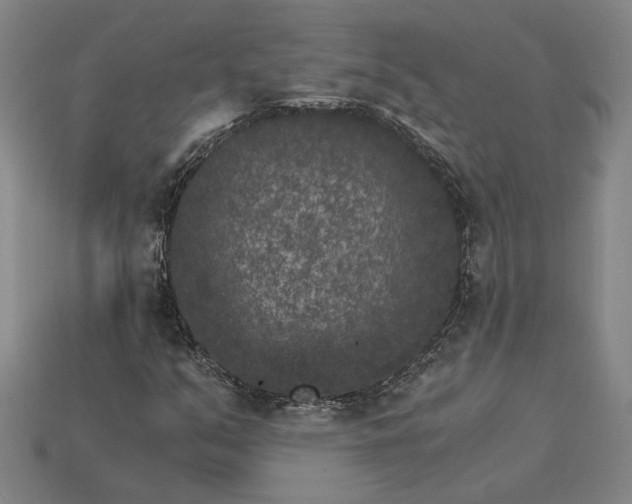 X0000115281351200911131820