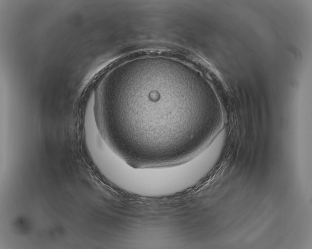 X0000115281352200911131820