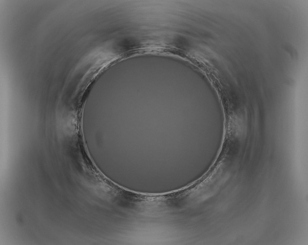 X0000115281353200911131820