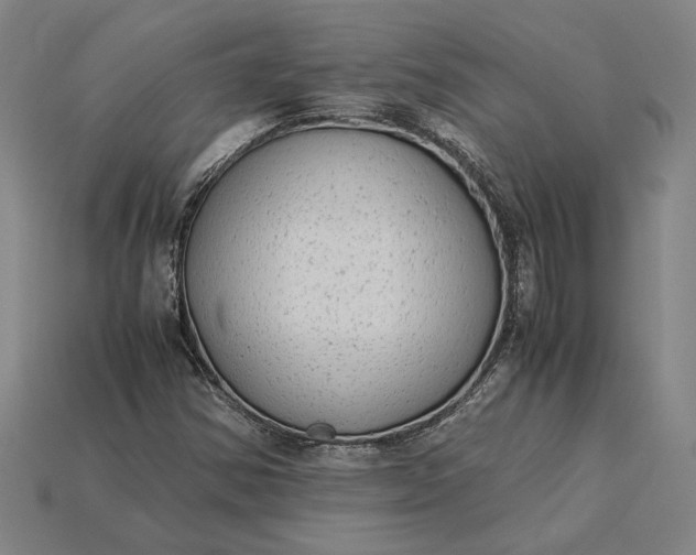 X0000115281354200911131820