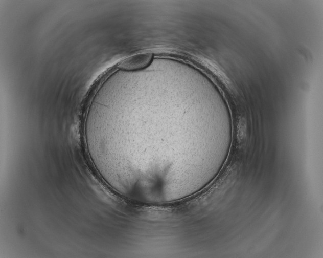 X0000115281356200911131820