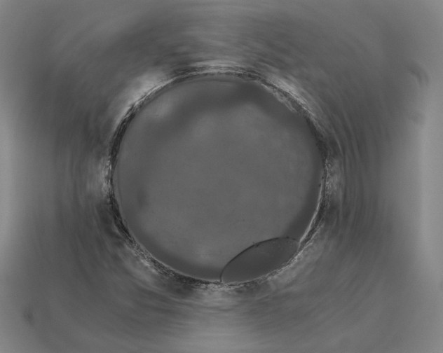 X0000115281357200911131820