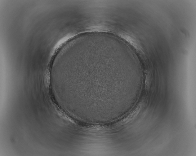 X0000115281358200911131820