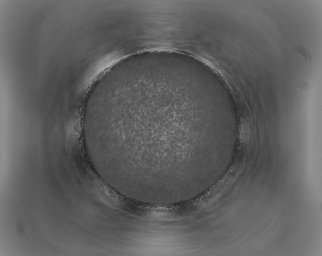 X0000115281359200911131820