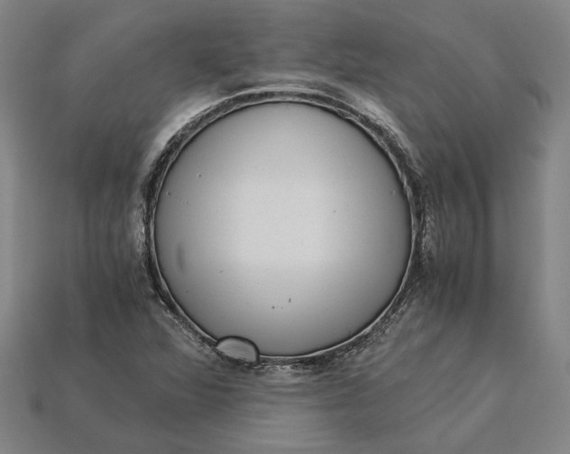 X0000115281360200911131820