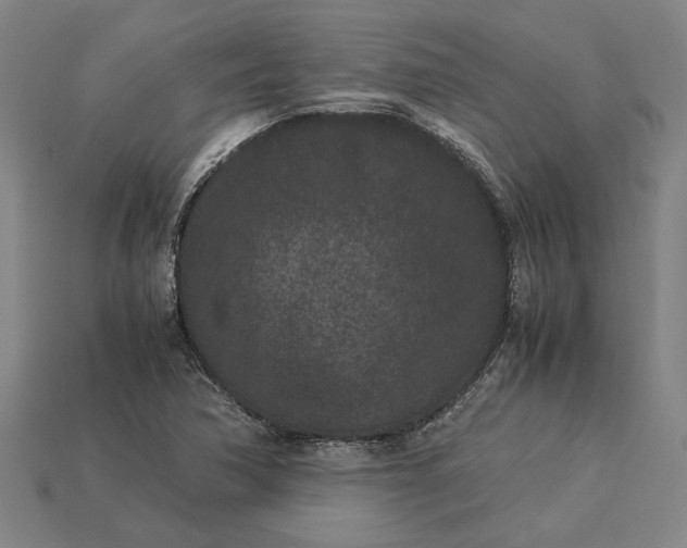 X0000115281362200911131820