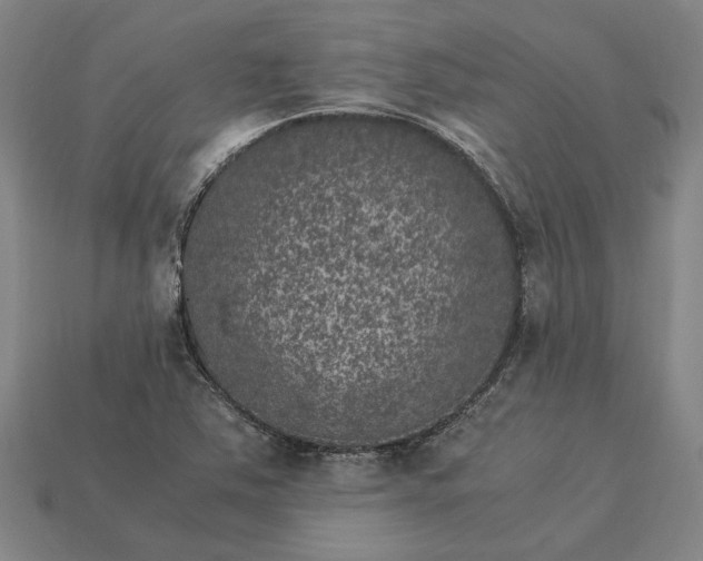 X0000115281363200911131820