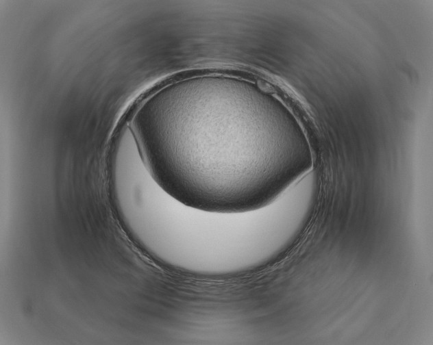 X0000115281364200911131820