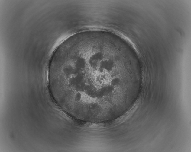 X0000115281365200911131820