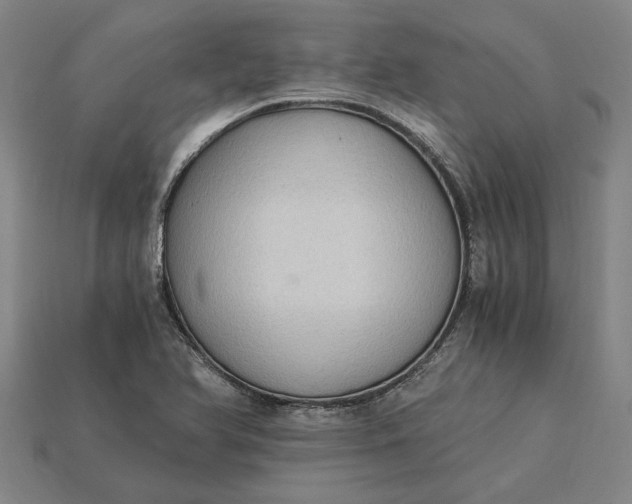 X0000115281366200911131820