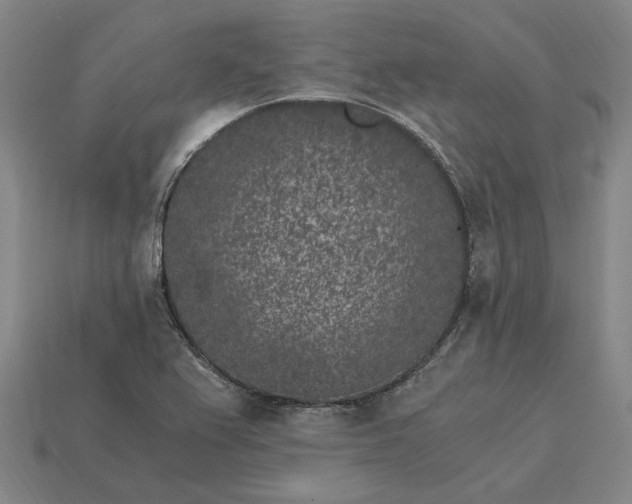 X0000115281367200911131820