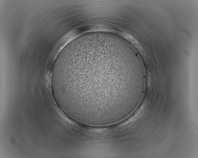 X0000115281369200911131820