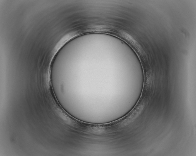 X0000115281370200911131820