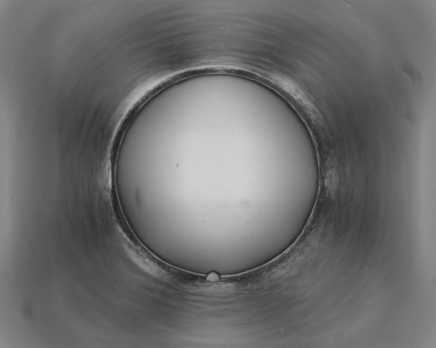 X0000115281372200911131820