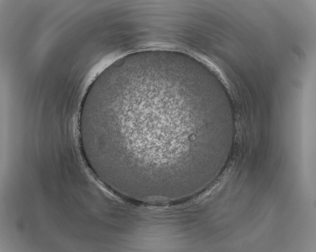 X0000115281373200911131820