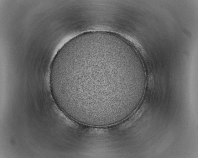 X0000115281374200911131820