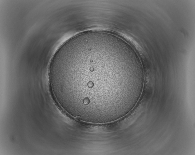 X0000115281375200911131820