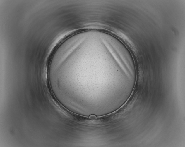 X0000115281376200911131820