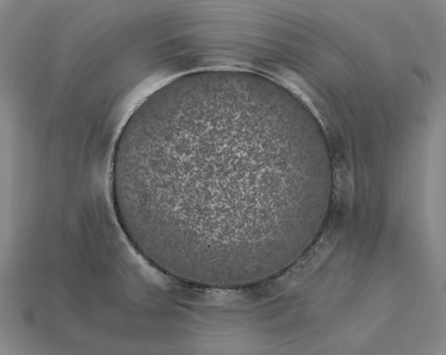 X0000115281379200911131820