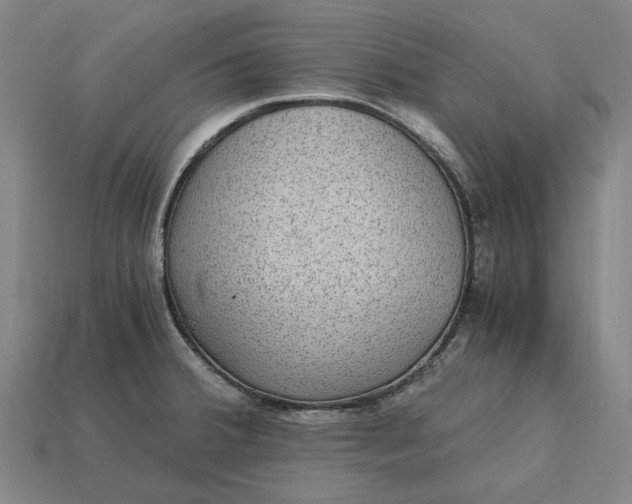 X0000115281380200911131820