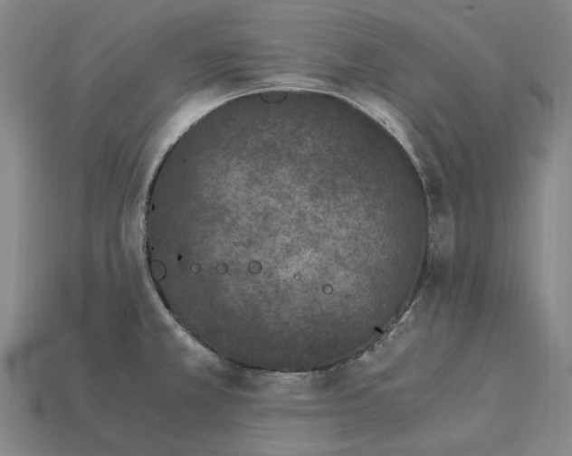 X0000115281381200911131820