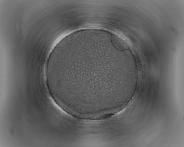 X0000115281382200911131819