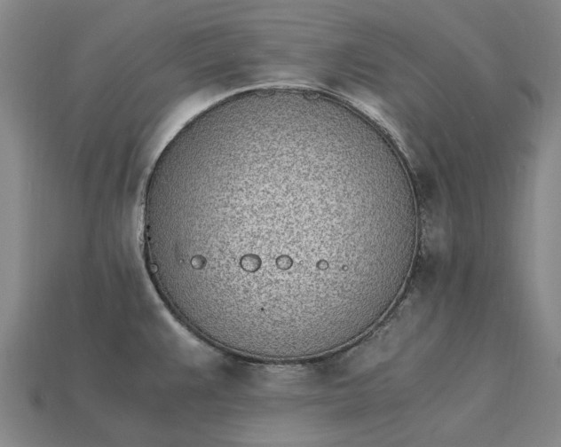 X0000115281383200911131819