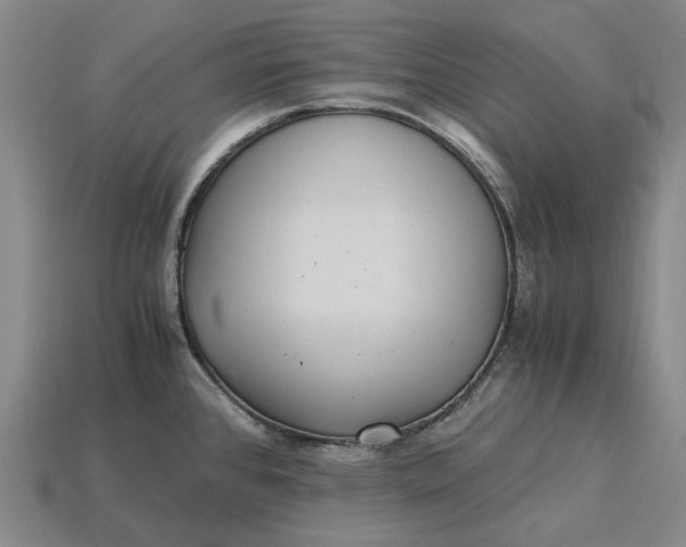 X0000115281384200911131819