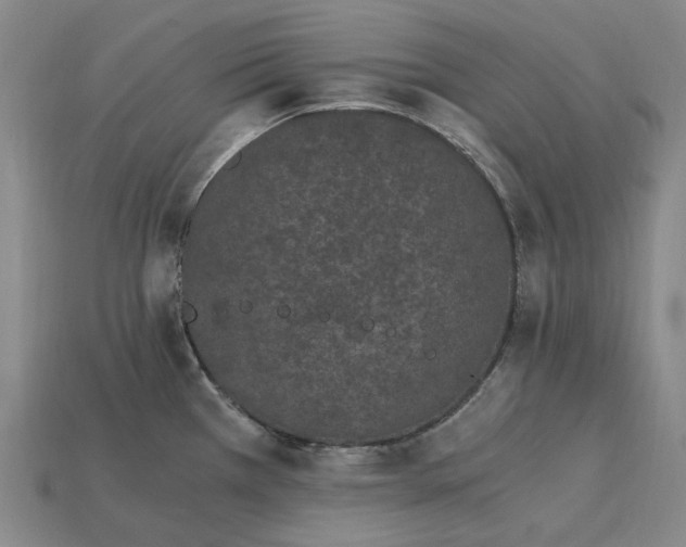 X0000115281385200911131819