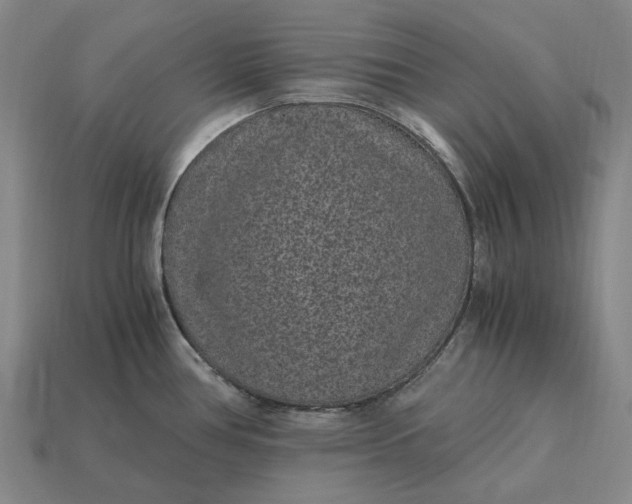 X0000115281386200911131819