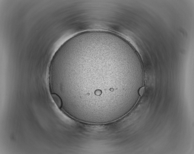 X0000115281387200911131819