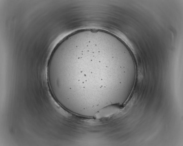 X0000115281388200911131819